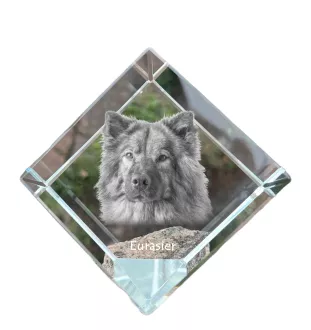 Eurasian, Eurasier - crystal cube with a photo, photo of a horse in crystal, cubic paperweight from Art-Dog brand