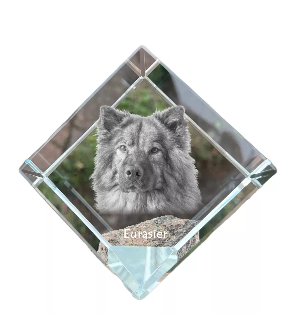 Eurasier kostka kryształowa z psem Art-Dog