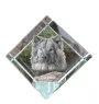 Eurasian, Eurasier - crystal cube with a photo, photo of a horse in crystal, cubic paperweight from Art-Dog brand