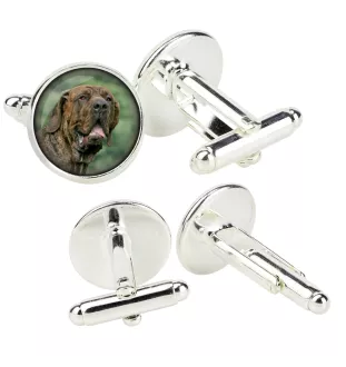 Fila Brasileiro spinka do mankietów w pudełku ze zdjęciem Art-Dog