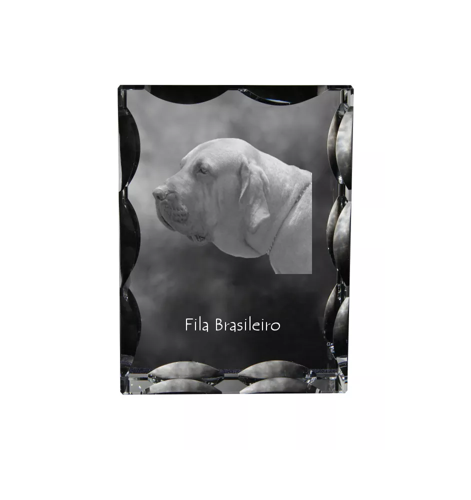 Fila Brasileiro, Brasilianischer Mastiff - Kristall mit einem Hundebild, Glasstatuette mit einem Bild, einzigartiger Bilderrahmen der Marke Art-Dog