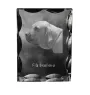 Fila Brasileiro ramka kryształowa z psem Art-Dog
