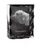 Fila Brasileiro ramka kryształowa z psem Art-Dog