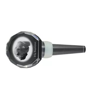 Fila Brasileiro - Crystal bottle stopper, unique wine stopper with photo, personalised gift for sommelier by Art-Dog brand