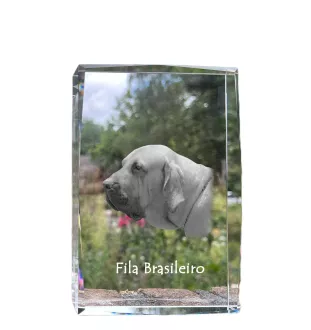 Fila Brasileiro, Brasilianischer Mastiff - Kristall mit einem Hundebild, Bild im Glas, moderne Ausstellung des Art-Dog-Bildes.