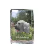 Fila Brasileiro kryształ z psem Art-Dog