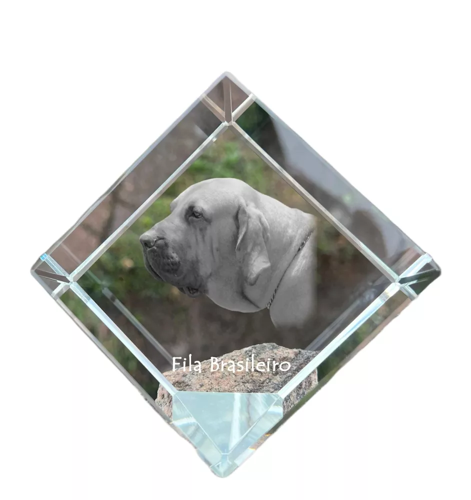 Fila Brasileiro kostka kryształowa z psem Art-Dog