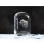 Fila Brasileiro - crystal cube with a photo, photo of a dog in crystal, cubic paperweight from Art-Dog brand