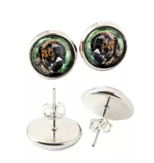 Fila Brasileiro - earrings in a box, your photo, handmade jewelry, a product of the Art-Dog brand