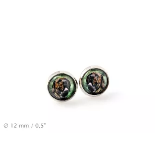 Fila Brasileiro - earrings in a box, your photo, handmade jewelry, a product of the Art-Dog brand