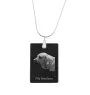 Fila Brasileiro - Crystal pendant with dog, silver necklace with photo, personalised pendant by Art-Dog brand