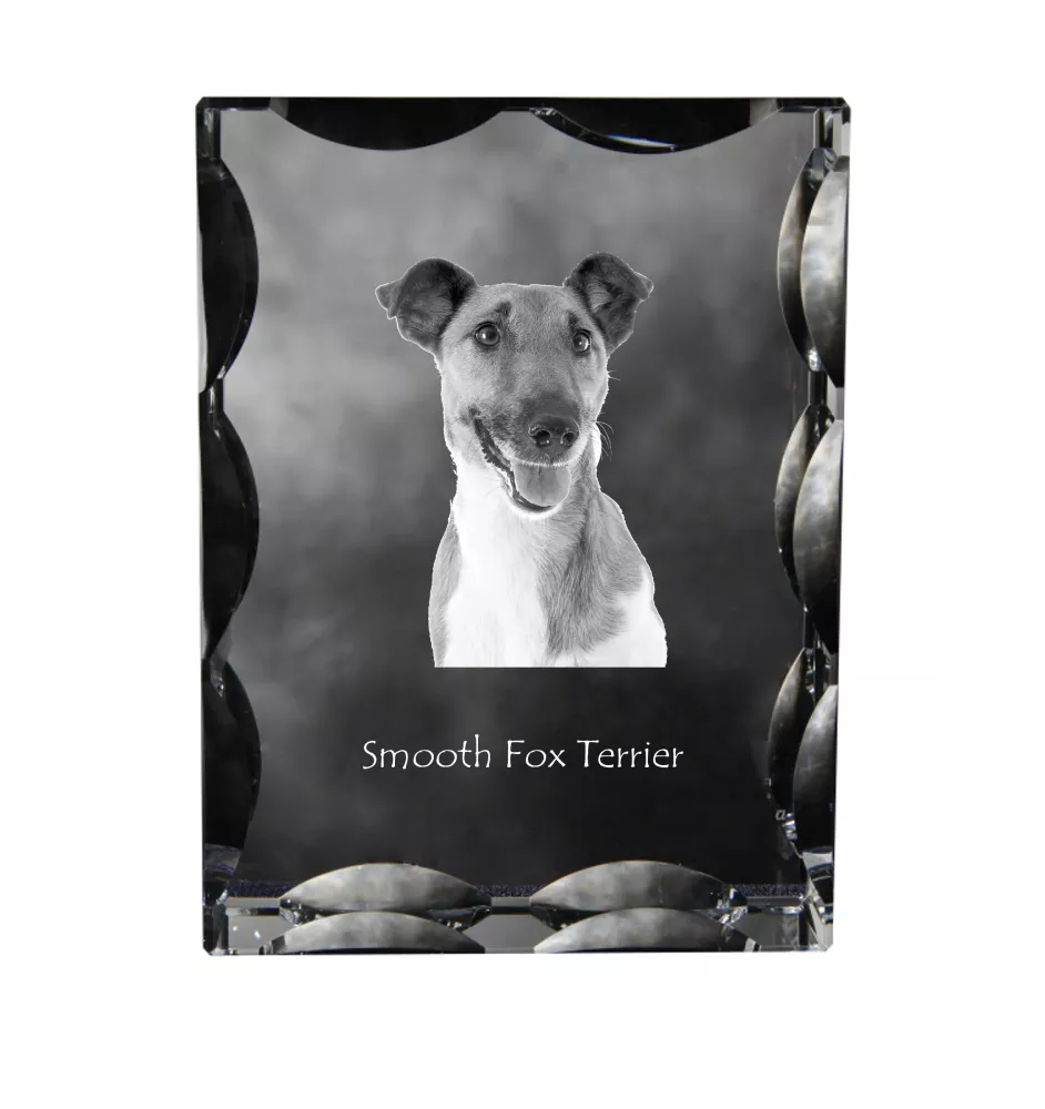 Fox Terrier Smooth - crystal with a picture of a dog, glass statuette with a picture, unique frame with a picture from Art-Dog brand