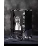 Fox Terrier Smooth - crystal with a picture of a dog, glass statuette with a picture, unique frame with a picture from Art-Dog brand