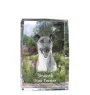 Fox Terrier Glatthaar, Foxterrier - Kristall mit einem Hundebild, Bild im Glas, moderne Ausstellung des Art-Dog-Bildes.