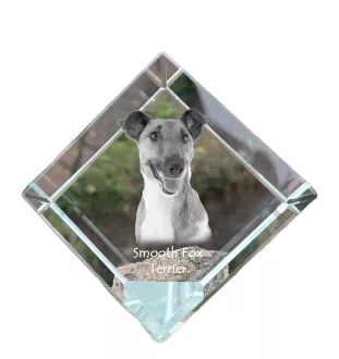 Fox Terrier Smooth - crystal cube with a photo, photo of a horse in crystal, cubic paperweight from Art-Dog brand