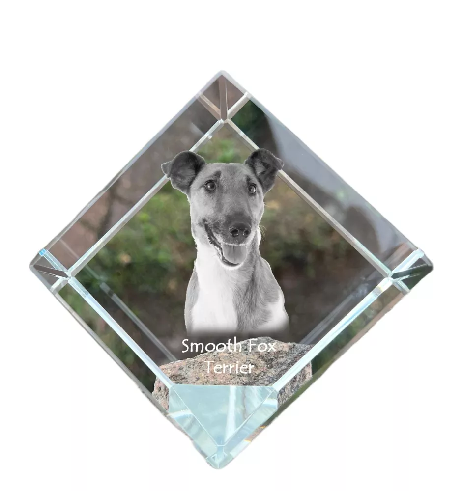 Fox-terrier à poil lisse - un cube de cristal avec une photo, une photo de cheval dans le cristal, un presse-papiers cubique de la marque Art-Dog