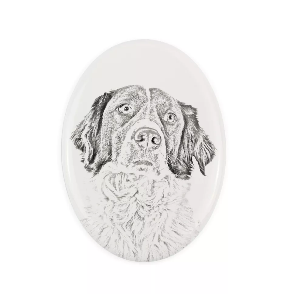 French Spaniel, French Setter, Canadian Setter - commemorative plaque with a photo of a dog, tombstone with a print, personalized oval plaque from the Art-Dog brand