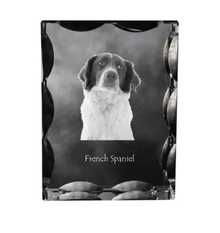 French Spaniel, French Setter, Canadian Setter - crystal with a picture of a dog, glass statuette with a picture, unique frame with a picture from Art-Dog brand