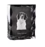 Épagneul français - cristal avec photo de chien, statuette en verre avec photo, cadre exceptionnel avec photo de la marque Art-Dog