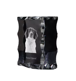 Französischer Spaniel, Epagneul Français - Kristall mit einem Hundebild, Glasstatuette mit einem Bild, einzigartiger Bilderrahmen der Marke Art-Dog