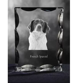 Épagneul français - cristal avec photo de chien, statuette en verre avec photo, cadre exceptionnel avec photo de la marque Art-Dog