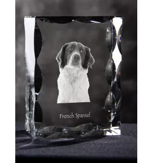 Épagneul français - cristal avec photo de chien, statuette en verre avec photo, cadre exceptionnel avec photo de la marque Art-Dog