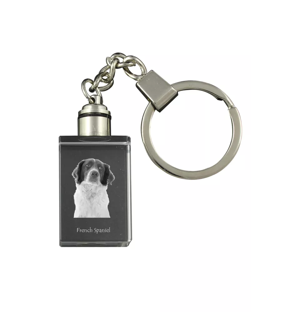 Französischer Spaniel, Epagneul Français - Schlüsselanhänger aus Kristall mit Hundefoto, beleuchteter Schlüsselanhänger, einzigartiges Geschenk der Marke Art-Dog