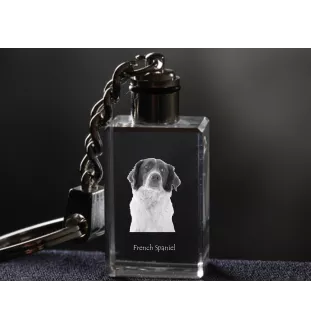 Französischer Spaniel, Epagneul Français - Schlüsselanhänger aus Kristall mit Hundefoto, beleuchteter Schlüsselanhänger, einzigartiges Geschenk der Marke Art-Dog