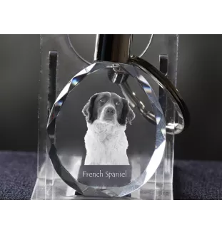 Französischer Spaniel, Epagneul Français - Anhänger mit einem Foto eines Hundes, Schlüsselanhänger aus Kristall in einer Geschenkbox, ein einzigartiges Geschenk von Art-Dog
