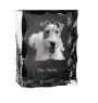 Fox Terrier Wire - crystal with a picture of a dog, glass statuette with a picture, unique frame with a picture from Art-Dog brand