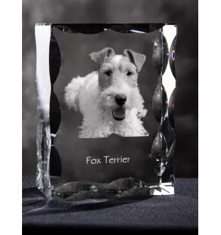 Fox Terrier Drahthaar, Foxterrier - Kristall mit einem Hundebild, Glasstatuette mit einem Bild, einzigartiger Bilderrahmen der Marke Art-Dog