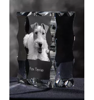 Fox Terrier Drahthaar, Foxterrier - Kristall mit einem Hundebild, Glasstatuette mit einem Bild, einzigartiger Bilderrahmen der Marke Art-Dog