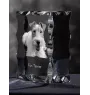 Fox-terrier à poil dur - cristal avec photo de chien, statuette en verre avec photo, cadre exceptionnel avec photo de la marque Art-Dog