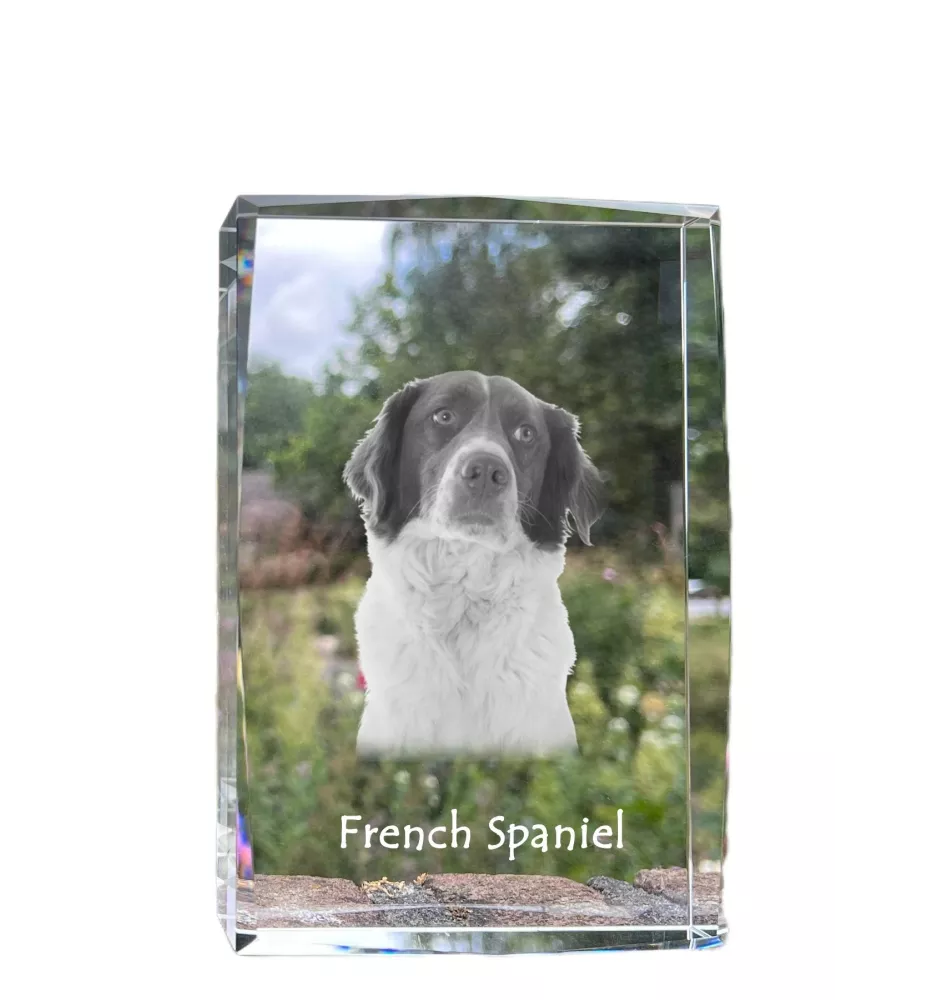 Spaniel francuski kryształ z psem Art-Dog