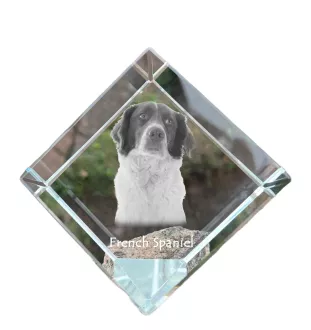 Französischer Spaniel, Epagneul Français - Kristallwürfel mit Bild, Pferdebild im Kristall, sechseckiger Papierclip der Marke Art-Dog