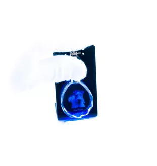Fox-terrier à poil dur - pendentif avec une photo de chien, porte-clés en cristal dans une boîte cadeau, un cadeau unique par Art-Dog