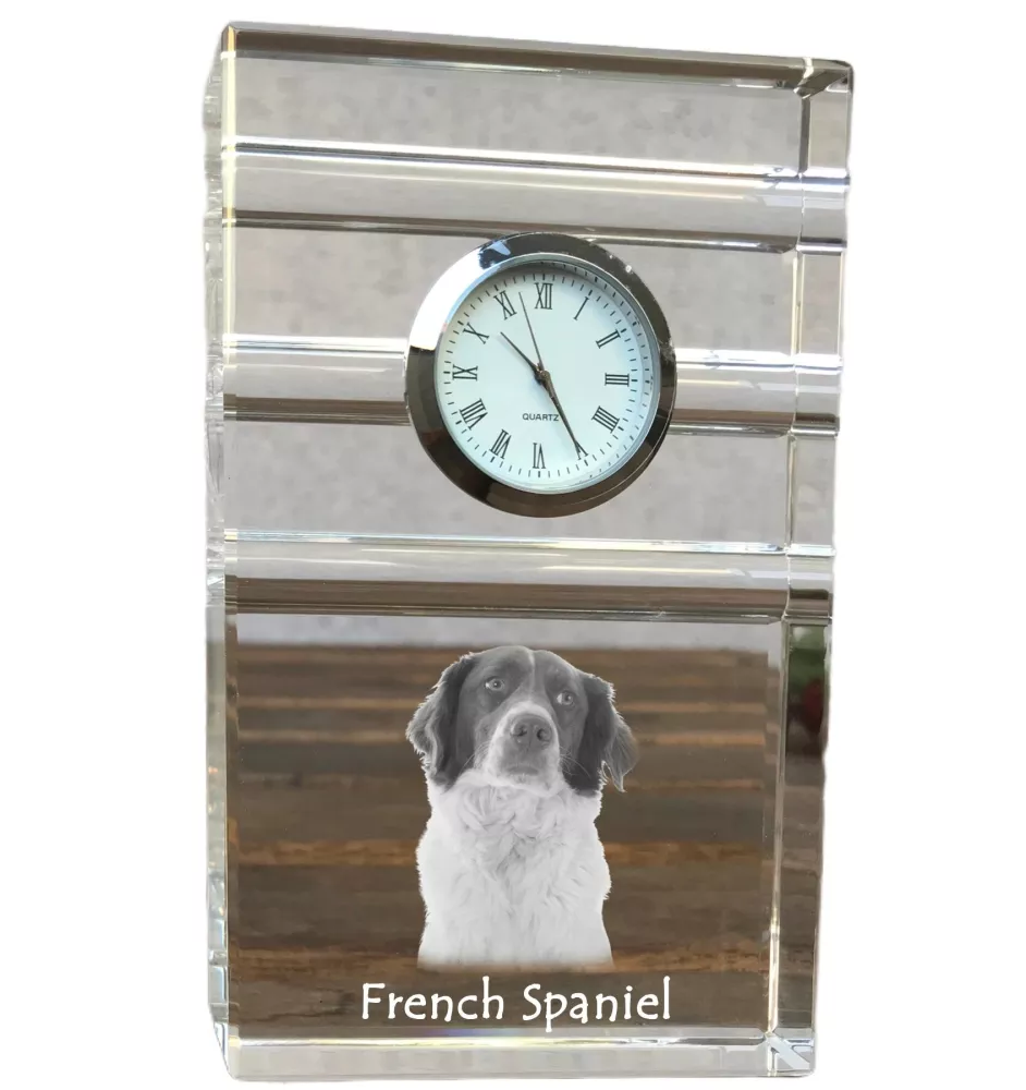 French Spaniel, French Setter, Canadian Setter - glass clock with a photo, photo of a dog in crystal, personalized standing office clock by Art-Dog brand
