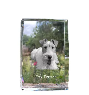 Fox-terrier à poil dur - cristal avec une photo de chien, photo sous verre, exposition moderne de la marque de photos Art-Dog