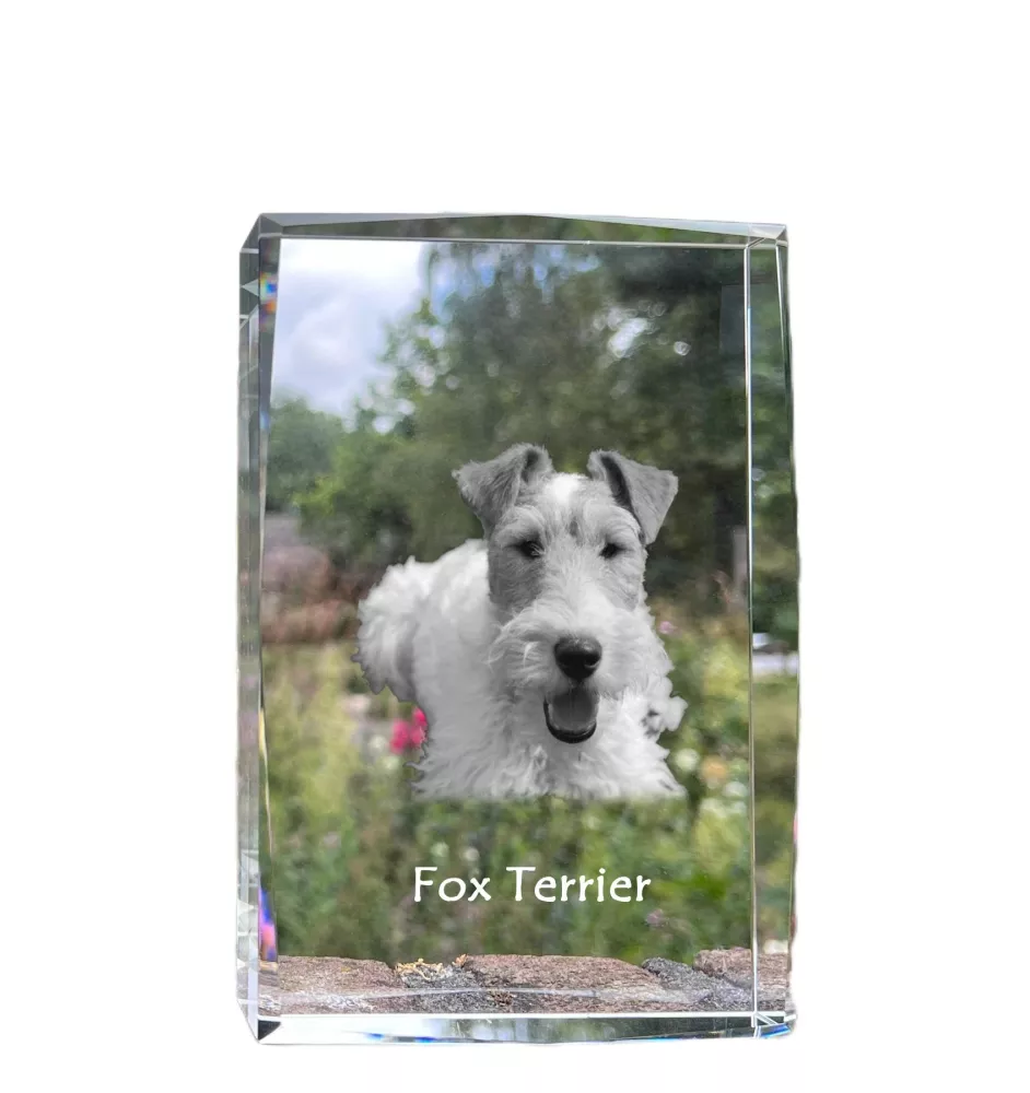 Fox Terrier Wire - crystal with a picture of a dog, photo in glass, modern exhibition of Art-Dog brand photo