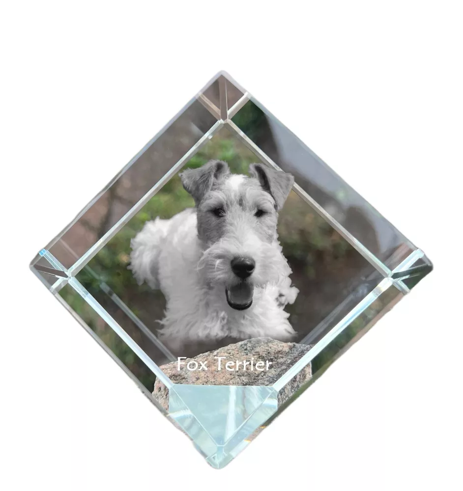 Fox-terrier à poil dur - un cube de cristal avec une photo, une photo de cheval dans le cristal, un presse-papiers cubique de la marque Art-Dog