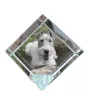 Fox-terrier à poil dur - un cube de cristal avec une photo, une photo de cheval dans le cristal, un presse-papiers cubique de la marque Art-Dog