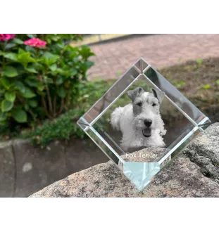 Fox Terrier Wire - crystal cube with a photo, photo of a horse in crystal, cubic paperweight from Art-Dog brand