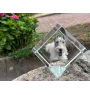 Fox Terrier Wire - crystal cube with a photo, photo of a horse in crystal, cubic paperweight from Art-Dog brand