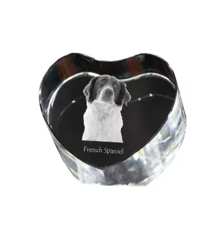 French Spaniel, French Setter, Canadian Setter - a photo of a dog in crystal, crystal heart, unique photo frame from the Art-Dog brand