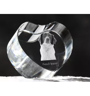 French Spaniel, French Setter, Canadian Setter - a photo of a dog in crystal, crystal heart, unique photo frame from the Art-Dog brand