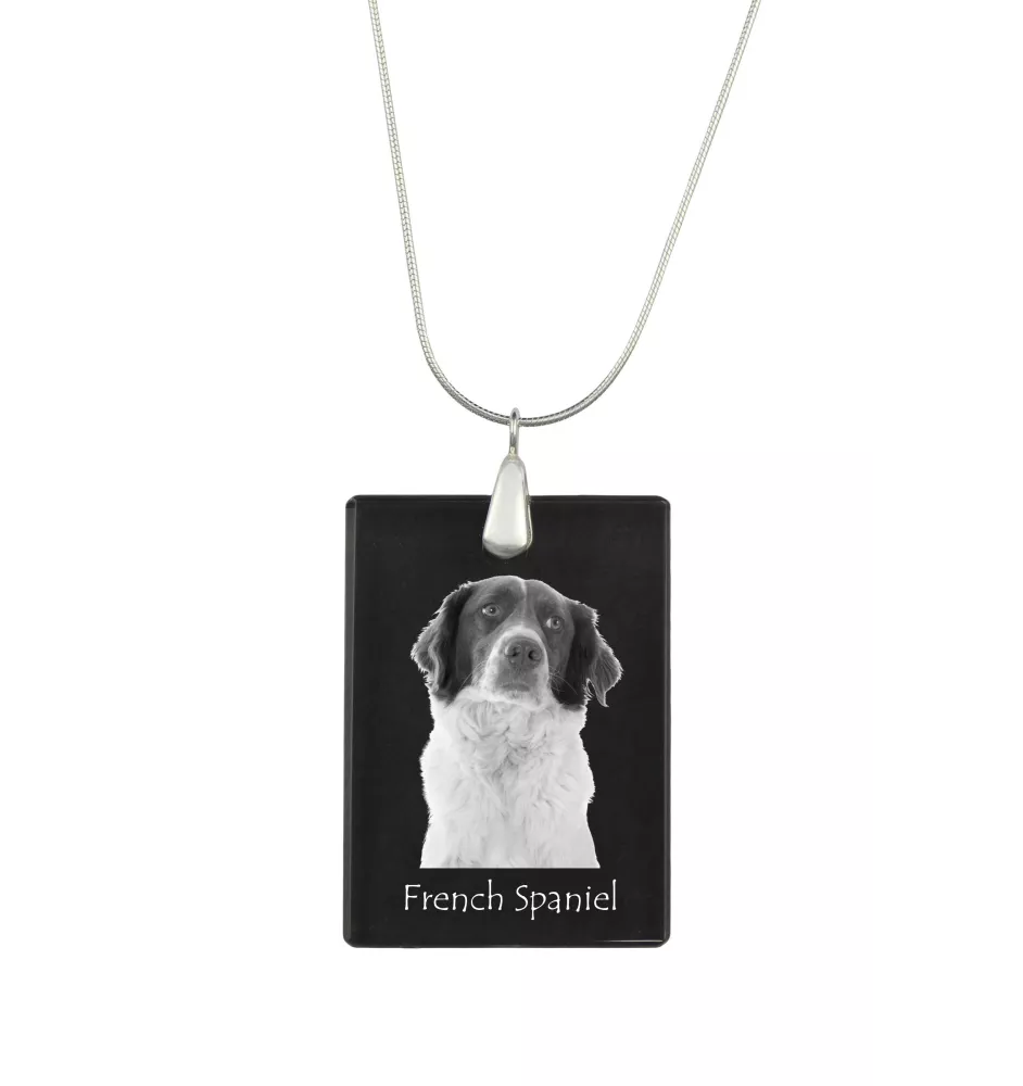 French Spaniel, French Setter, Canadian Setter - Crystal pendant with dog, silver necklace with photo, personalised pendant by Art-Dog brand