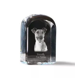 Fox Terrier Glatthaar, Foxterrier - Kristallwürfel mit Bild, Hundebild im Kristall, sechseckiger Papierclip von Art-Dog.