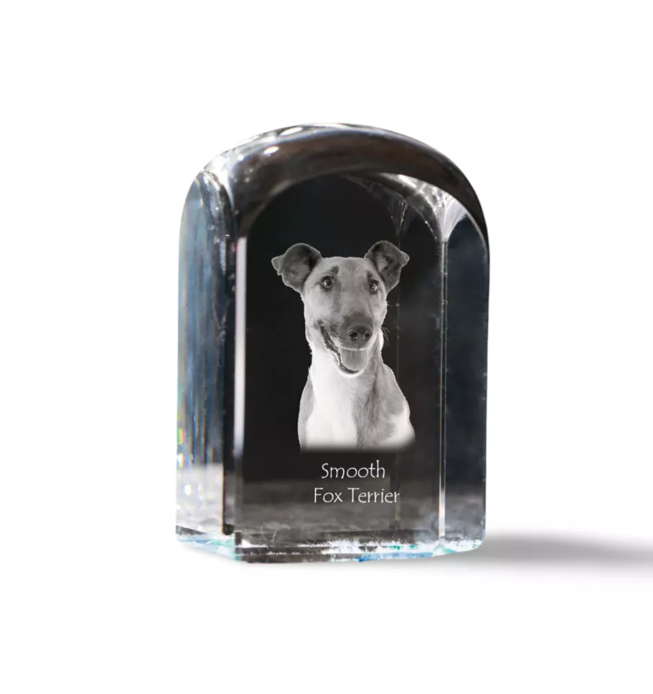 Fox Terrier Glatthaar, Foxterrier - Kristallwürfel mit Bild, Hundebild im Kristall, sechseckiger Papierclip von Art-Dog.