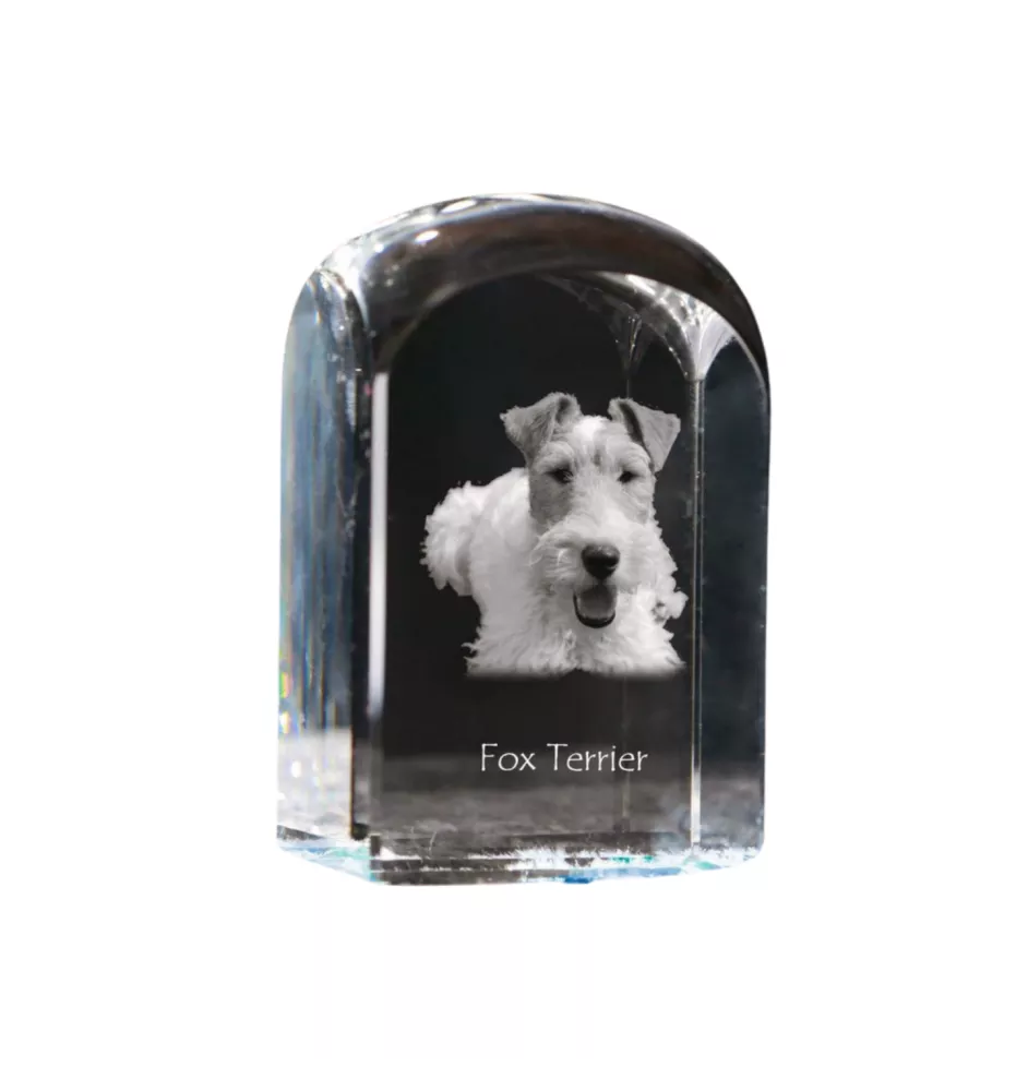 Fox Terrier Wire - crystal cube with a photo, photo of a dog in crystal, cubic paperweight from Art-Dog brand