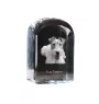 Fox Terrier Wire - crystal cube with a photo, photo of a dog in crystal, cubic paperweight from Art-Dog brand